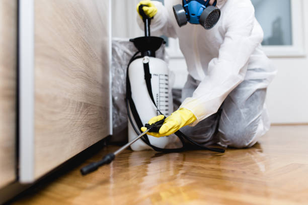 Pest Control for Restaurants in Laughlin Af, TX