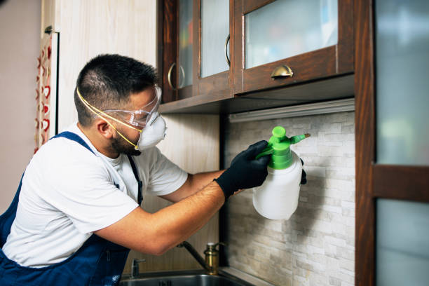 Best Commercial Pest Control Services  in Laughlin Af, TX