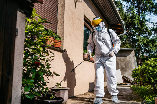 Best Affordable Pest Control Services  in Laughlin Af, TX