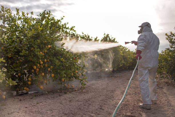Best Residential Pest Control  in Laughlin Af, TX