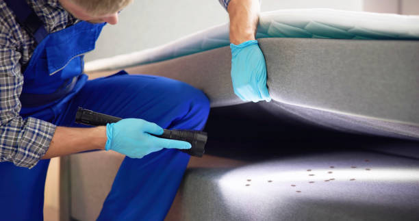 Best Best Pest Control Companies  in Laughlin Af, TX