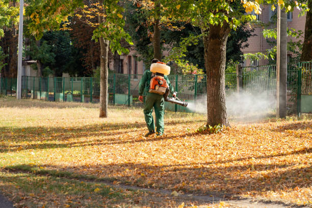 Best Ant Control Services  in Laughlin Af, TX