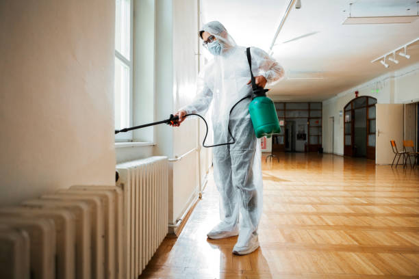 Best Pest Removal Services  in Laughlin Af, TX