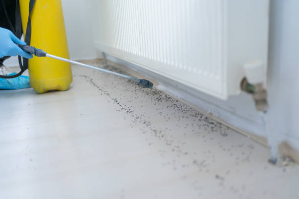 Best Pest Inspection Near Me  in Laughlin Af, TX