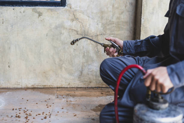 Best Mosquito Control Services  in Laughlin Af, TX