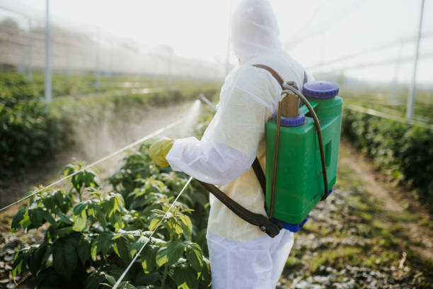 Best Local Pest Control Services  in Laughlin Af, TX